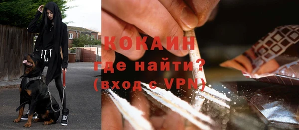СК Бородино
