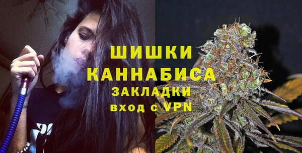 СК Бородино