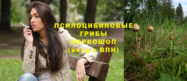 СК Бородино